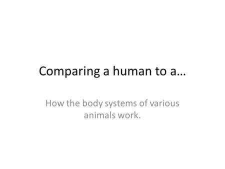 Comparing a human to a… How the body systems of various animals work.