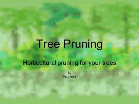 Tree Pruning Horticultural pruning for your trees By Paul Rios.