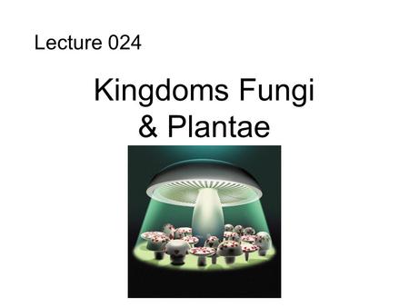 Lecture 024 Kingdoms Fungi & Plantae. Plantae Fungi Animalia Protista Monera.
