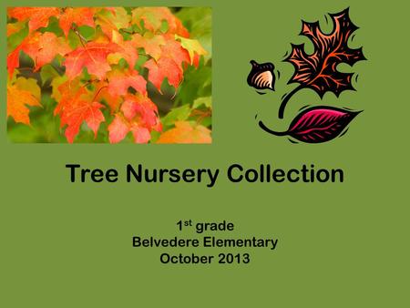 Tree Nursery Collection 1 st grade Belvedere Elementary October 2013.