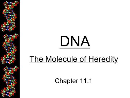 DNA The Molecule of Heredity Chapter 11.1. DNA - Deoxyribonucleic Acid Contains genetic information (genes) Strands of repeating molecules that make.