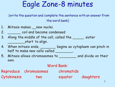 Eagle Zone-8 minutes (write the question and complete the sentence with an answer from the word bank) 1.Mitosis makes __new nuclei. 2.______ coil and.