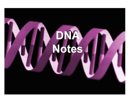 DNA Notes.