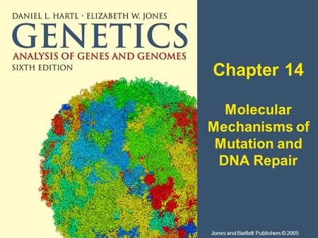 Chapter 14 Molecular Mechanisms of Mutation and DNA Repair Jones and Bartlett Publishers © 2005.