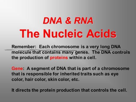 DNA & RNA The Nucleic Acids Remember: Each chromosome is a very long DNA molecule that contains many genes. The DNA controls the production of proteins.