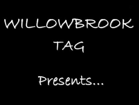 WILLOWBROOK TAG Presents… By Willowbrook’s Civitas Organization.