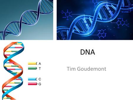 DNA Tim Goudemont.
