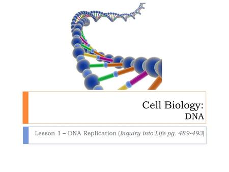 Cell Biology: DNA Lesson 1 – DNA Replication ( Inquiry into Life pg. 489-493 )
