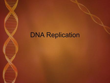 DNA Replication. Watch this video to see how DNA replication actually occurs.  ch?v=hfZ8o9D1tushttp://www.youtube.com/wat ch?v=hfZ8o9D1tus.
