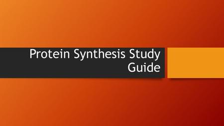 Protein Synthesis Study Guide