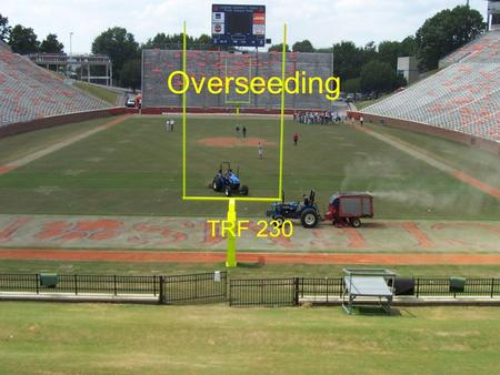 Overseeding TRF 230. Why Overseed Bermuda goes dormant Green color Traffic tolerance Economic reasons.