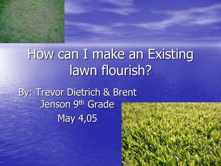 How can I make an Existing lawn flourish? By: Trevor Dietrich & Brent Jenson 9 th Grade May 4,05.