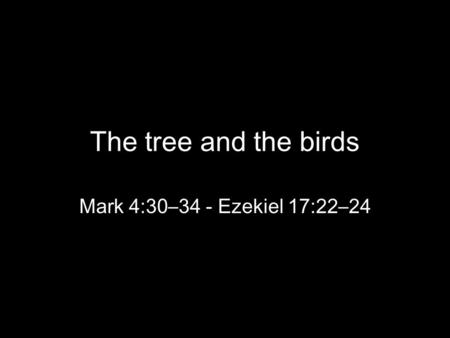 The tree and the birds Mark 4:30–34 - Ezekiel 17:22–24.