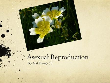 Asexual Reproduction By: Mai Phung- 7E. What is Asexual Reproduction? Asexual reproduction is a mode of reproduction by which offspring arise from a single.