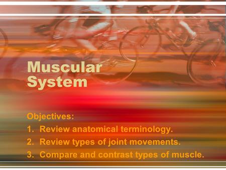Muscular System Objectives: Review anatomical terminology.