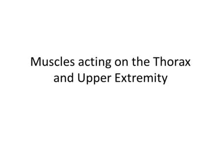 Muscles acting on the Thorax and Upper Extremity.