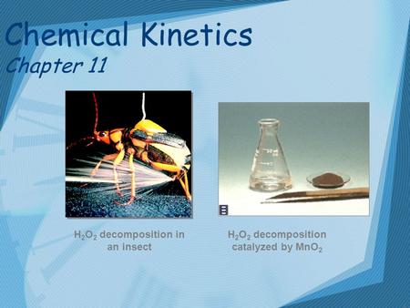 1 Chemical Kinetics Chapter 11 H 2 O 2 decomposition in an insect H 2 O 2 decomposition catalyzed by MnO 2.