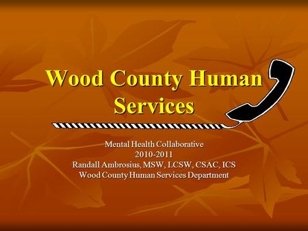 Wood County Human Services Mental Health Collaborative 2010-2011 Randall Ambrosius, MSW, LCSW, CSAC, ICS Wood County Human Services Department.
