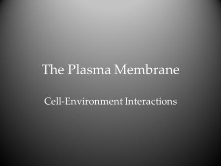 The Plasma Membrane Cell-Environment Interactions.