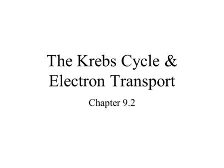 The Krebs Cycle & Electron Transport