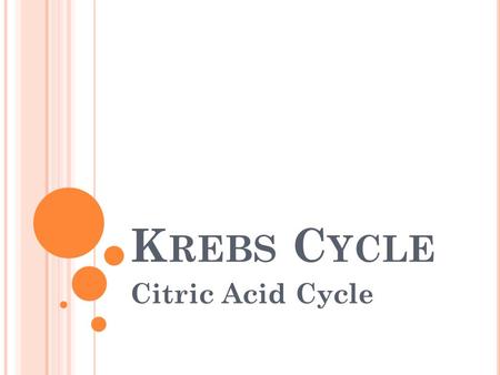 K REBS C YCLE Citric Acid Cycle. B EFORE THE CYCLE BEGINS : ► Pyruvate turned into acetate gives off CO 2 and causes NAD+ NADH ► Coenzyme A attaches to.