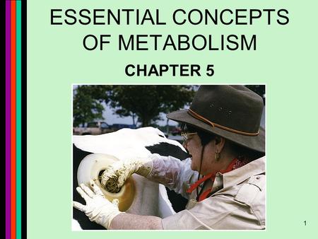 1 ESSENTIAL CONCEPTS OF METABOLISM CHAPTER 5. 2 Metabolism Anabolism Catabolism.