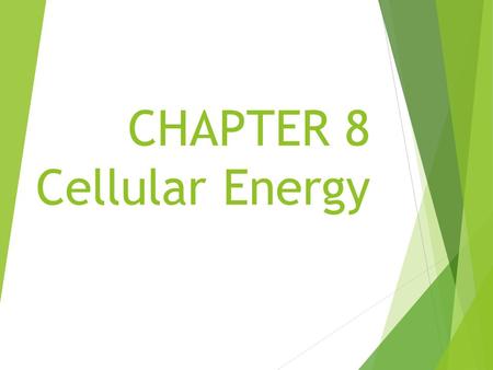 CHAPTER 8 Cellular Energy