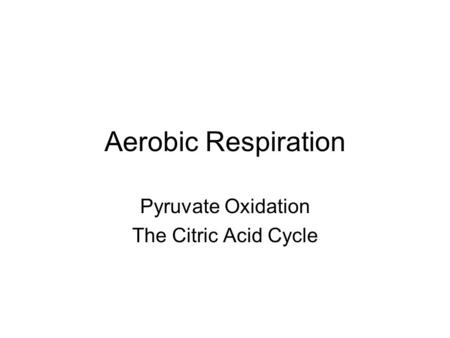 Pyruvate Oxidation The Citric Acid Cycle