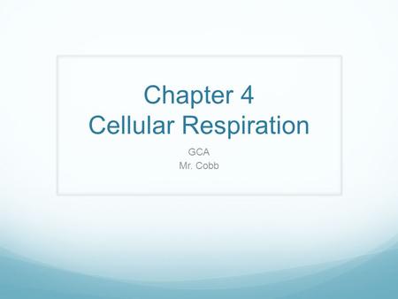 Chapter 4 Cellular Respiration GCA Mr. Cobb Cellular respiration Food (glucose) into ATP Not “breathing” It can be either aerobic or anaerobic Aerobic.