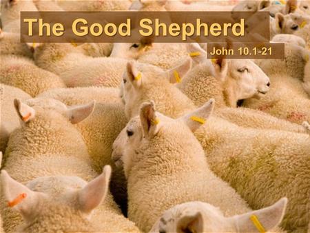 The Good Shepherd John 10.1-21. The Good Shepherd 1.Knows his sheep (3b-4, 8, 14) John 10.1-21.