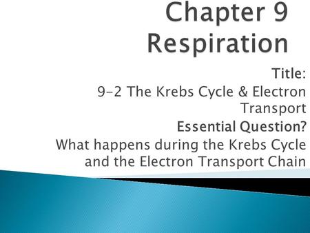 Chapter 9 Respiration Title: 9-2 The Krebs Cycle & Electron Transport