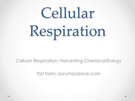 Cellular Respiration Cellular Respiration: Harvesting Chemical Energy