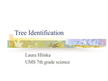 Laura Hlinka UMS 7th grade science