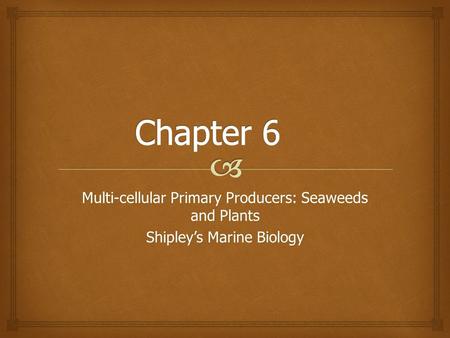 Chapter 6 Multi-cellular Primary Producers: Seaweeds and Plants