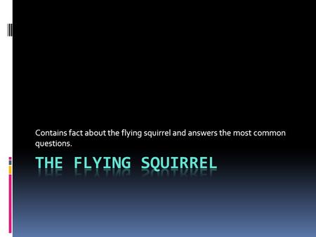 Contains fact about the flying squirrel and answers the most common questions.