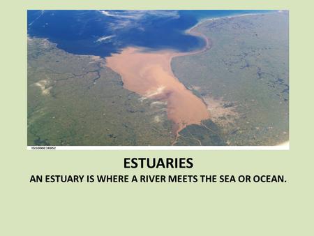 Estuaries An estuary is where a river meets the sea or ocean.