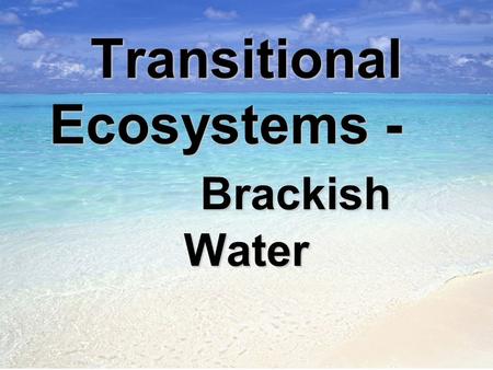 Transitional Ecosystems - Brackish Water. I. Brackish water –is a term used for areas wherefreshwater combines with salty ocean water. A. It is not as.