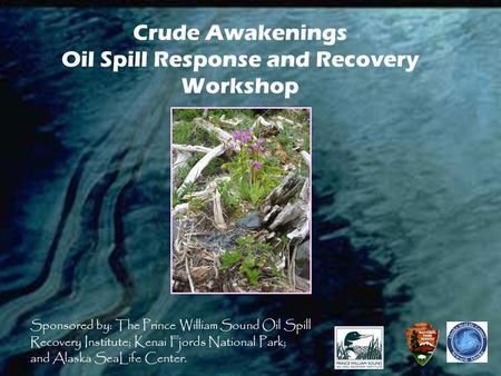 Crude Awakenings Oil Spill Response and Recovery Workshop Sponsored by: The Prince William Sound Oil Spill Recovery Institute; Kenai Fjords National Park;