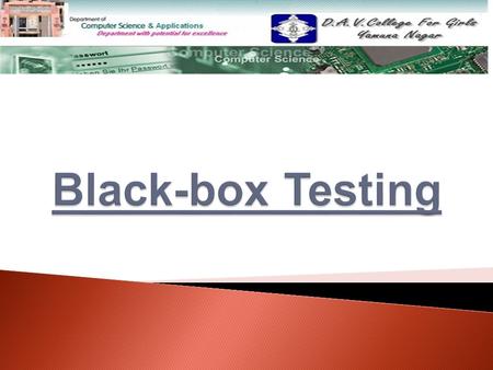 Black-box Testing.