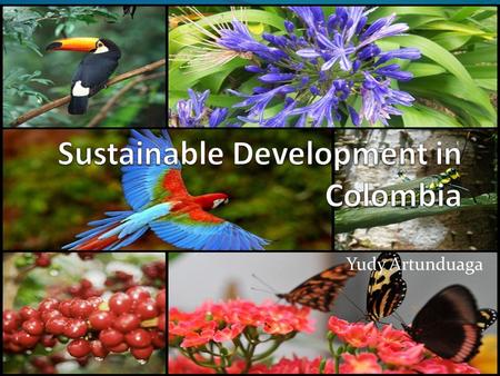 Yudy Artunduaga. General facts Colombia is in the list of the 12 richest countries in biodiversity in the world. This group of countries has the 70% of.