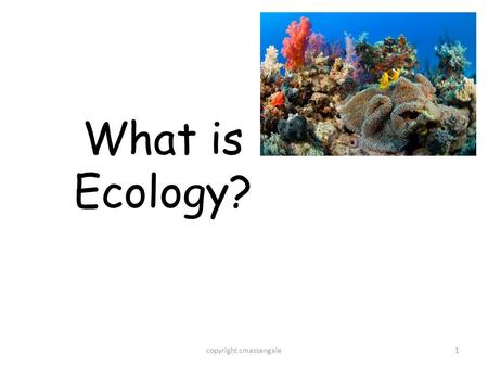 1 What is Ecology? copyright cmassengale. 2 What is Ecology?? The study of interactions that take place between organisms and their environment. The study.