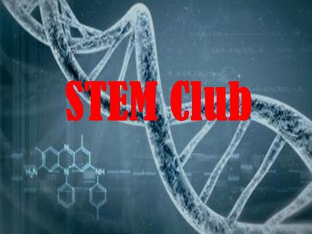 STEM Club. What do we do? Have speakers from STEM fields; past speakers include: Physician Assistants, a bioinformatician, Physicians, college students.