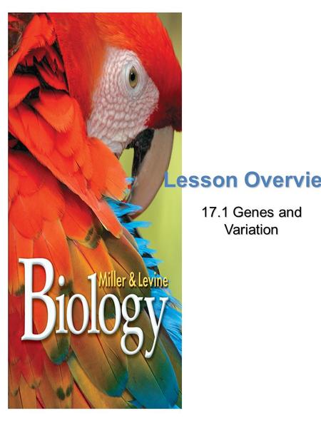 Lesson Overview 17.1 Genes and Variation.