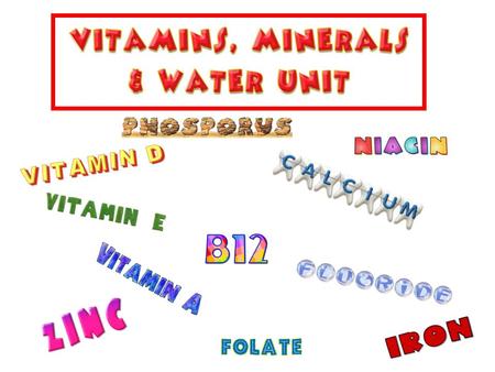 Intro to Vitamins, Minerals & Water