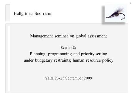 Hallgrímur Snorrason Management seminar on global assessment Session 8: Planning, programming and priority setting under budgetary restraints; human resource.