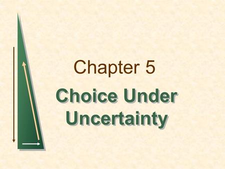 Chapter 5 Choice Under Uncertainty. Chapter 5Slide 2 Topics to be Discussed Describing Risk Preferences Toward Risk Reducing Risk The Demand for Risky.