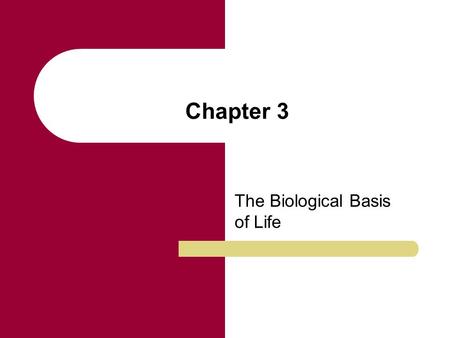 Chapter 3 The Biological Basis of Life. Chapter Outline The Cell DNA Structure DNA Replication Protein Synthesis Cell Division: Mitosis and Meiosis New.
