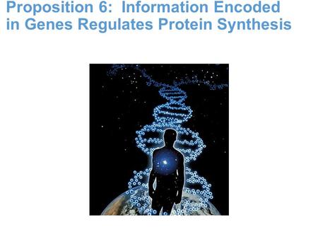 Proposition 6: Information Encoded in Genes Regulates Protein Synthesis.