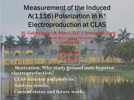 Motivation. Why study ground state hyperon electroproduction? CLAS detector and analysis. Analysis results. Current status and future work. M. Gabrielyan.