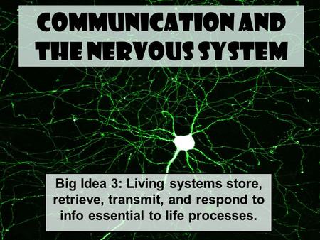 Communication and The Nervous System Big Idea 3: Living systems store, retrieve, transmit, and respond to info essential to life processes.